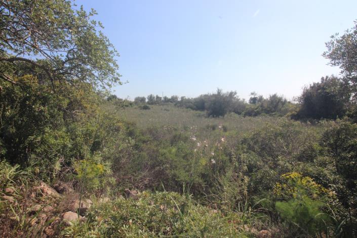 Image No.4-3 Bed House/Villa for sale