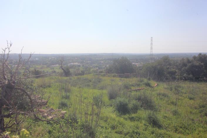 Image No.6-3 Bed House/Villa for sale