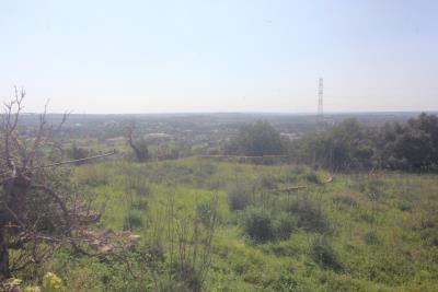 7ae1728te4lwgdckbxhd