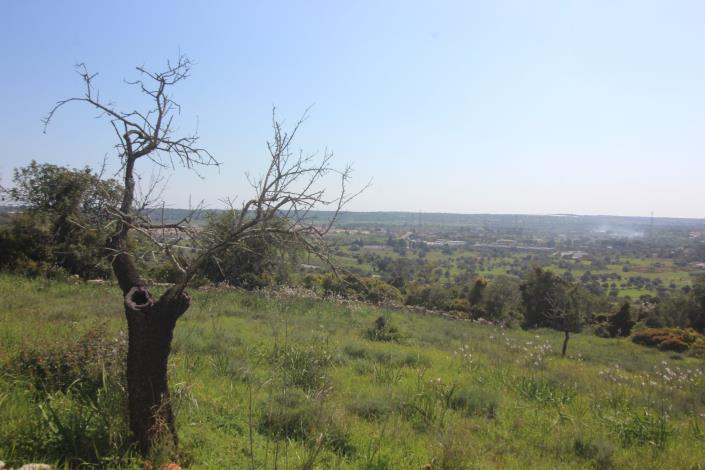 Image No.8-3 Bed House/Villa for sale