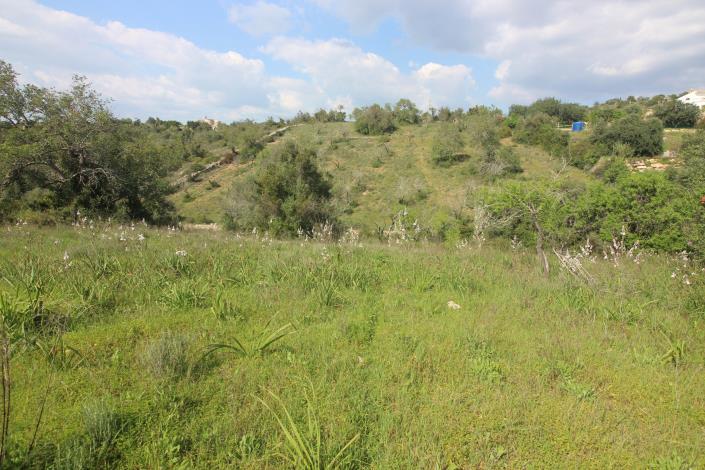 Image No.10-3 Bed House/Villa for sale