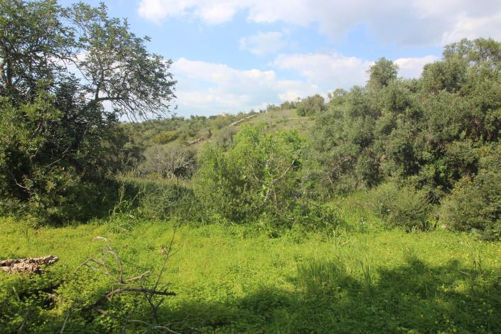 Image No.12-3 Bed House/Villa for sale