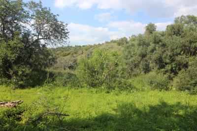 elw7ylf5zmc5bt7difkyrn