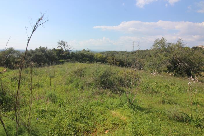 Image No.17-3 Bed House/Villa for sale