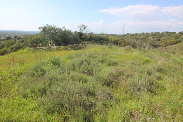 Image No.25-3 Bed House/Villa for sale