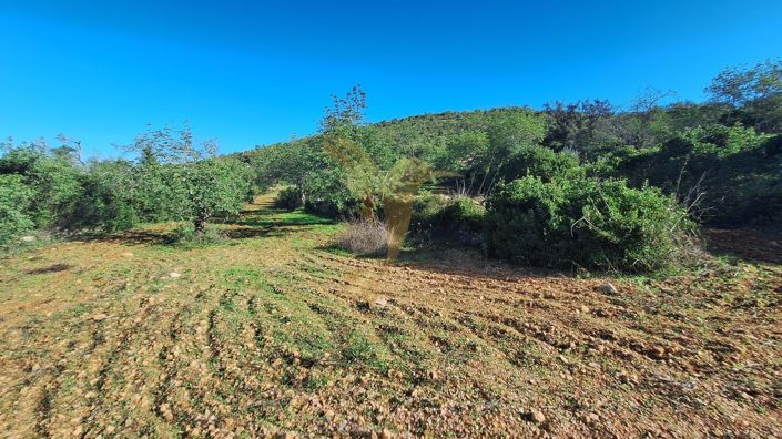 Image No.4-Property for sale