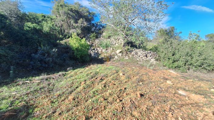 Image No.5-Property for sale