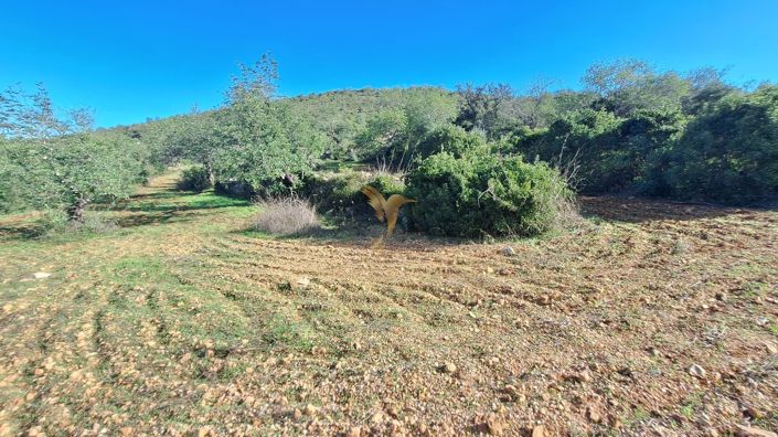 Image No.8-Property for sale