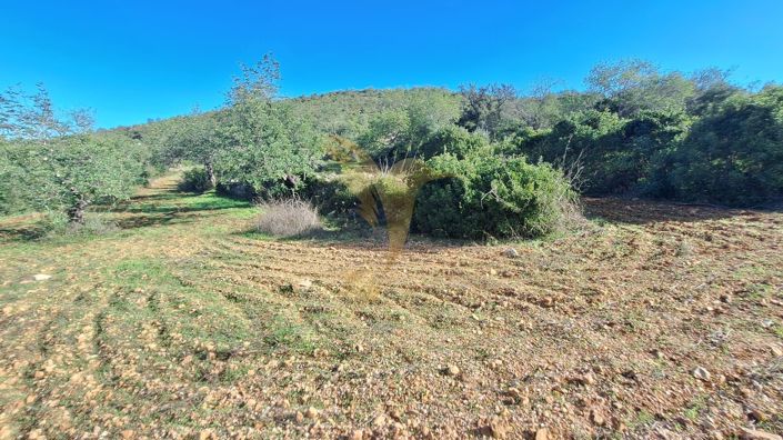 Image No.8-Property for sale