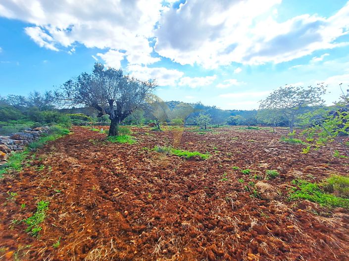 Image No.3-Property for sale