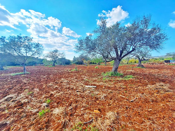 Image No.5-Property for sale