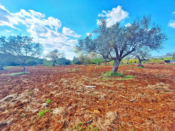 Image No.5-Property for sale