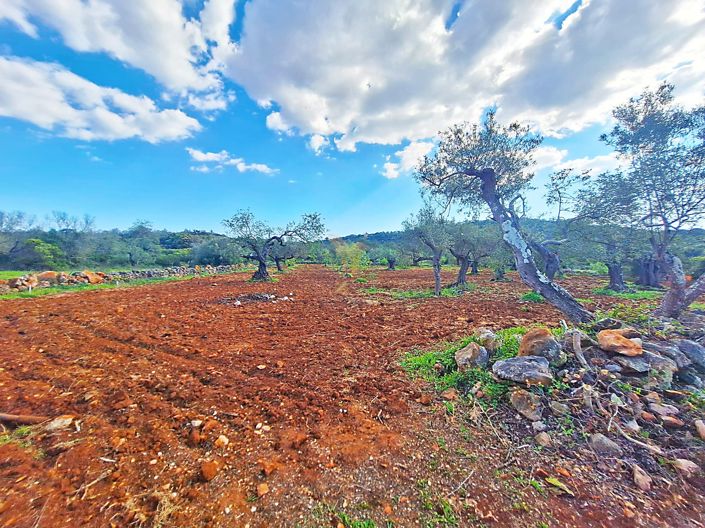 Image No.6-Property for sale
