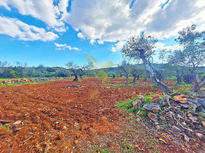 Image No.6-Property for sale