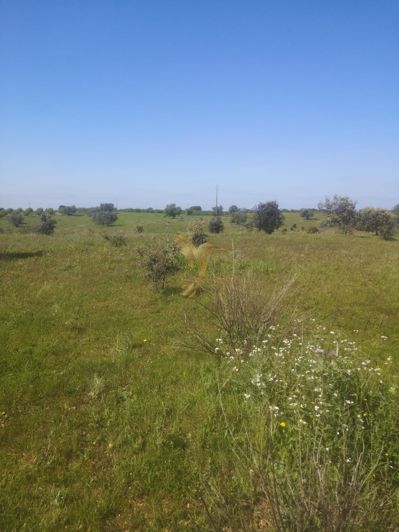 Image No.11-Property for sale