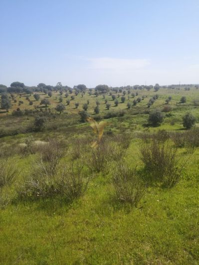 Image No.12-Property for sale
