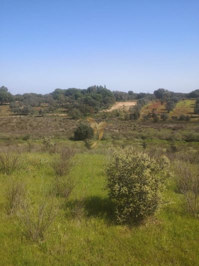 Image No.13-Property for sale