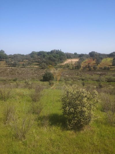 Image No.13-Property for sale