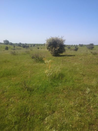 Image No.15-Property for sale