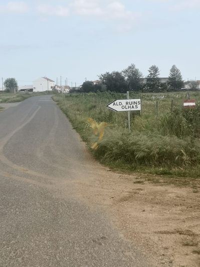 Image No.7-Property for sale