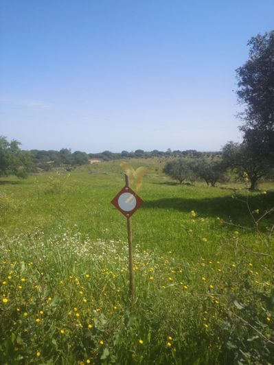 Image No.8-Property for sale