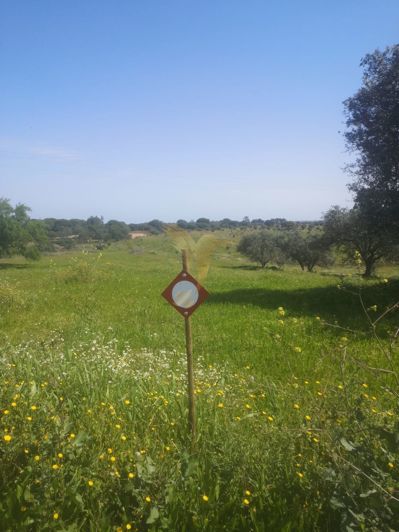 Image No.8-Property for sale