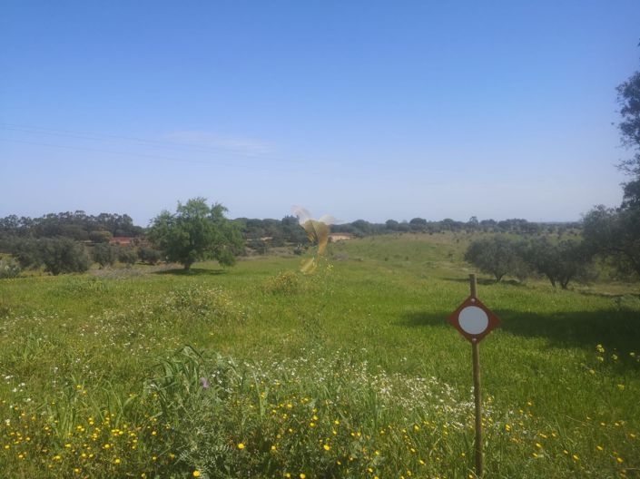 Image No.9-Property for sale