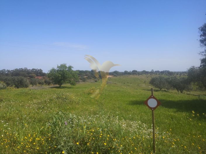 Image No.9-Property for sale