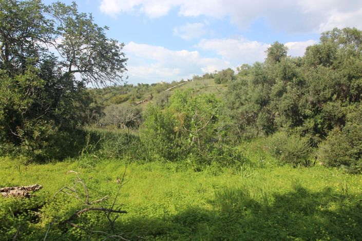Image No.20-5 Bed Farmhouse for sale