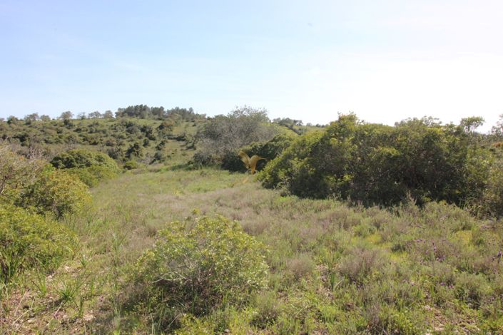 Image No.11-Property for sale