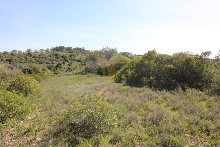 Image No.11-Property for sale