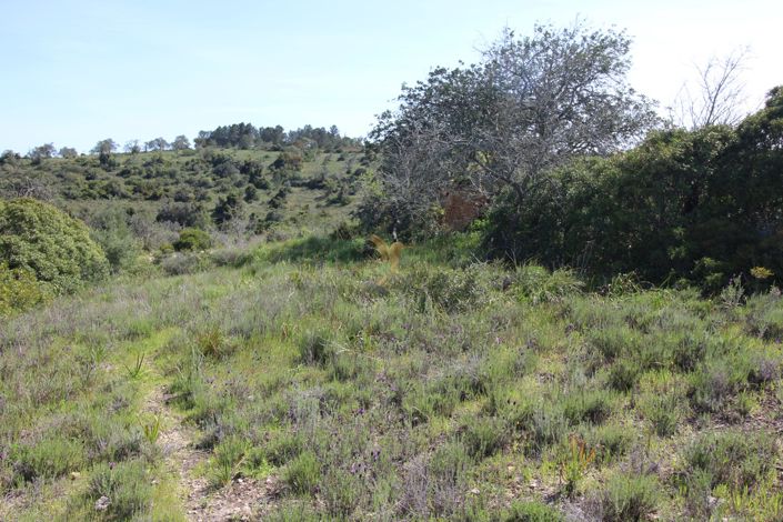 Image No.14-Property for sale