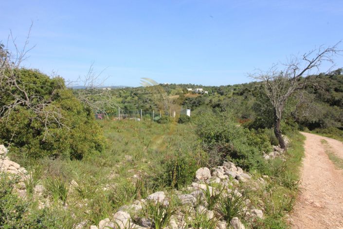 Image No.2-Property for sale