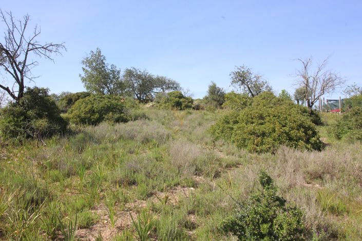 Image No.3-Property for sale
