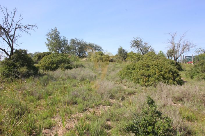 Image No.3-Property for sale