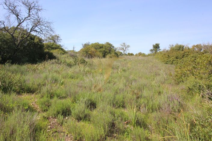 Image No.6-Property for sale