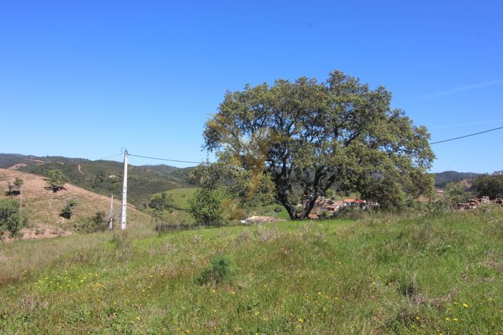 Image No.14-Property for sale