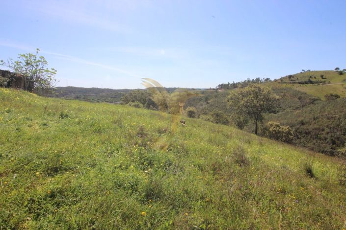 Image No.7-Property for sale