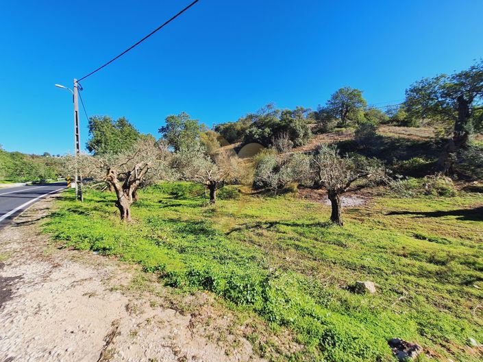 Image No.2-Property for sale