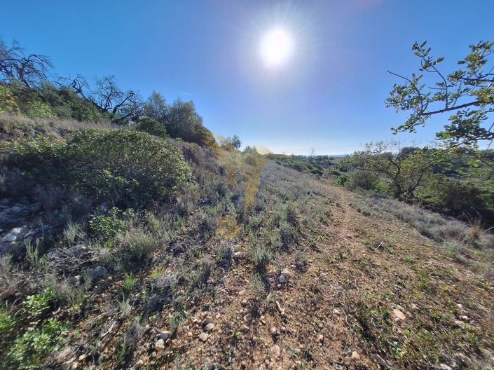 Image No.6-Property for sale