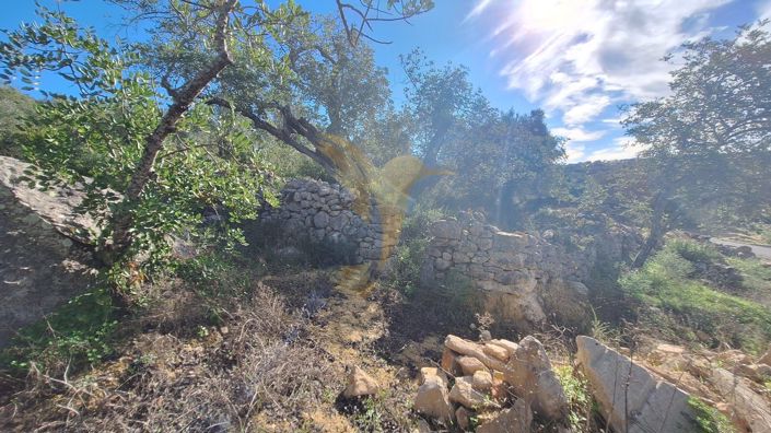 Image No.5-Property for sale