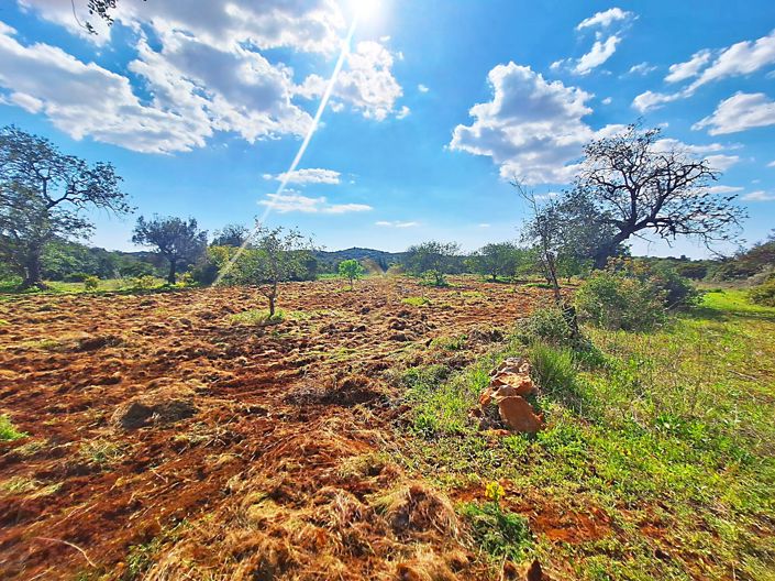 Image No.3-Propriété à vendre à Loule