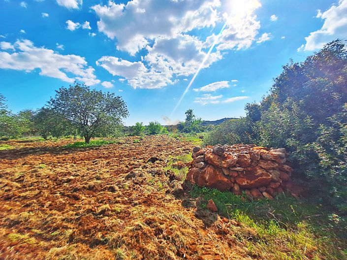 Image No.4-Propriété à vendre à Loule