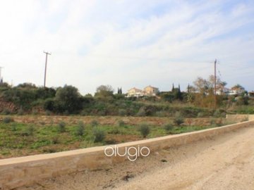 19704-large-land-in-latchi-neo-chorio-paphosf