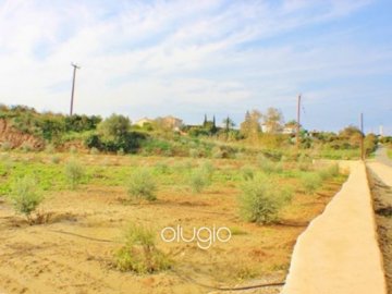 19707-large-land-in-latchi-neo-chorio-paphosf