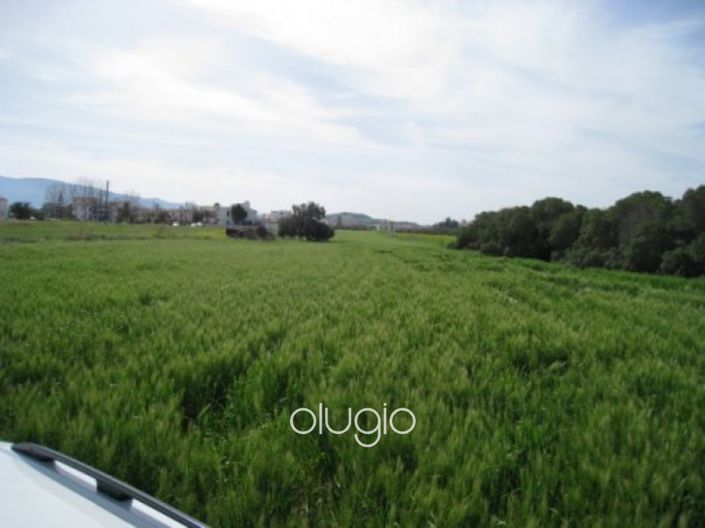 Image No.3-Plot for sale