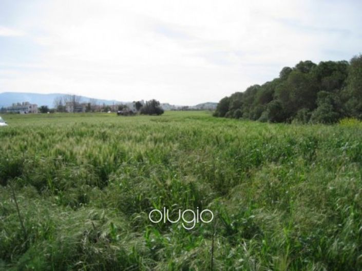 Image No.5-Plot for sale