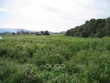 19907-plot-in-latchi-polis-paphosfull