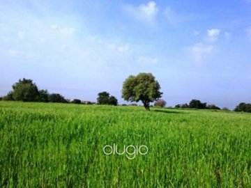 22183-for-sale-plot-of-land-in-tremithousa-pa