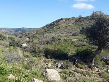 22903-big-plot-of-land-for-sale-in-pegia-area